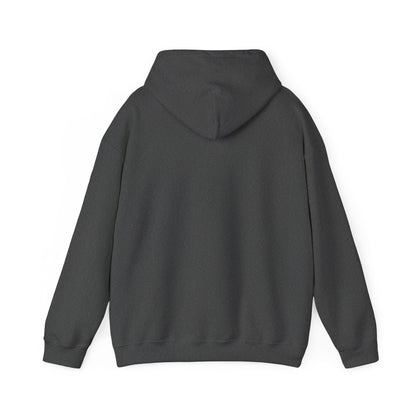 Mens Heavy Blend™ Hooded Sweatshirt, Concrete Predator Panther Hoodie Mens Urban Streetwear