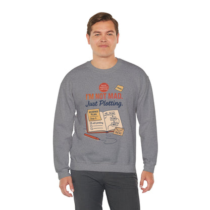 Funny Mens Revenge Sweatshirt, Im Not Mad Just Plotting, Passive Aggressive Sarcastic Crewneck for Him