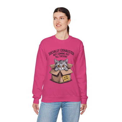 Socially Exhausted Cat Sweatshirt, Funny Cat Crewneck, Gift for Cat Lovers, Cozy Unisex Pullover, Weekend Comfort Apparel