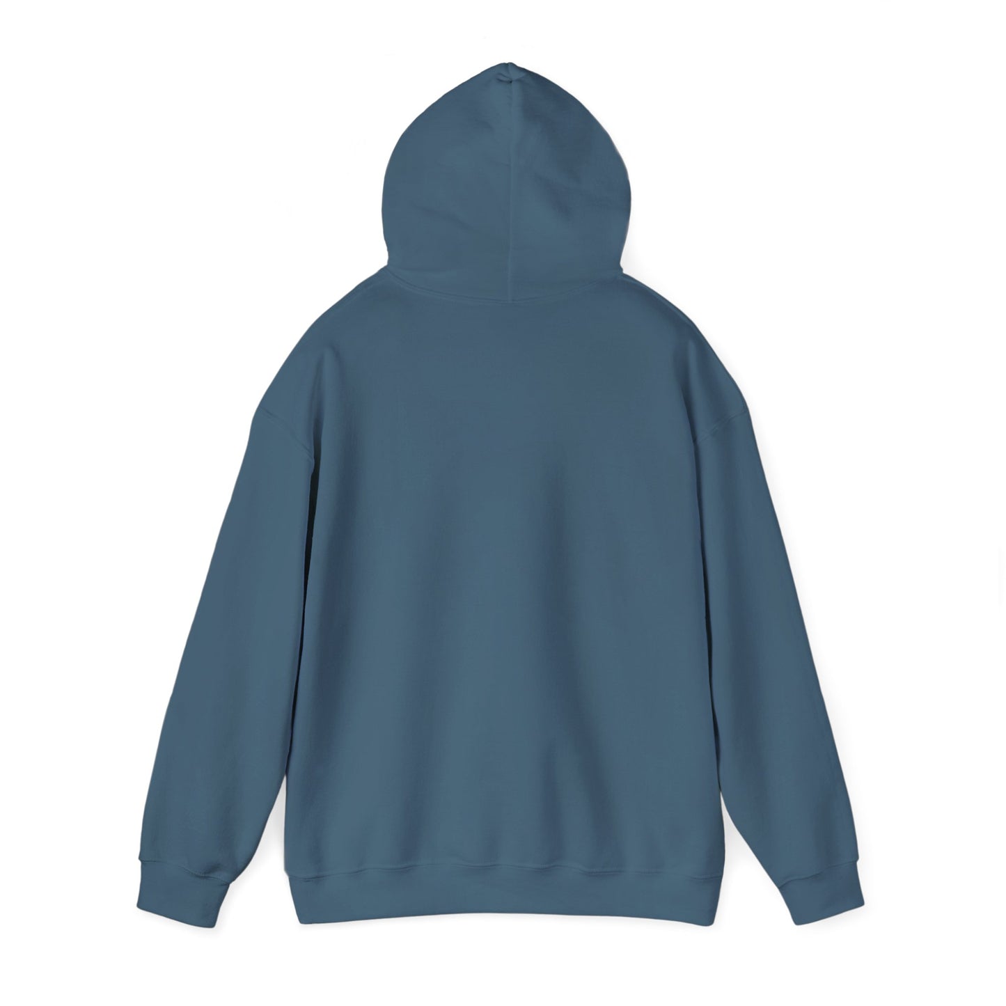 Shhh... No One Cares Hoodie, Funny Sweatshirt, Womens Pullover, Casual Wear, Gift for Friends, Cozy Outfit