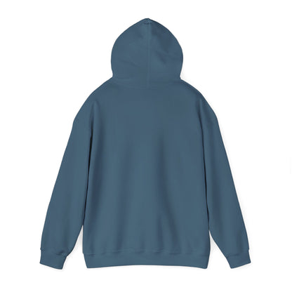 Shhh... No One Cares Hoodie, Funny Sweatshirt, Womens Pullover, Casual Wear, Gift for Friends, Cozy Outfit