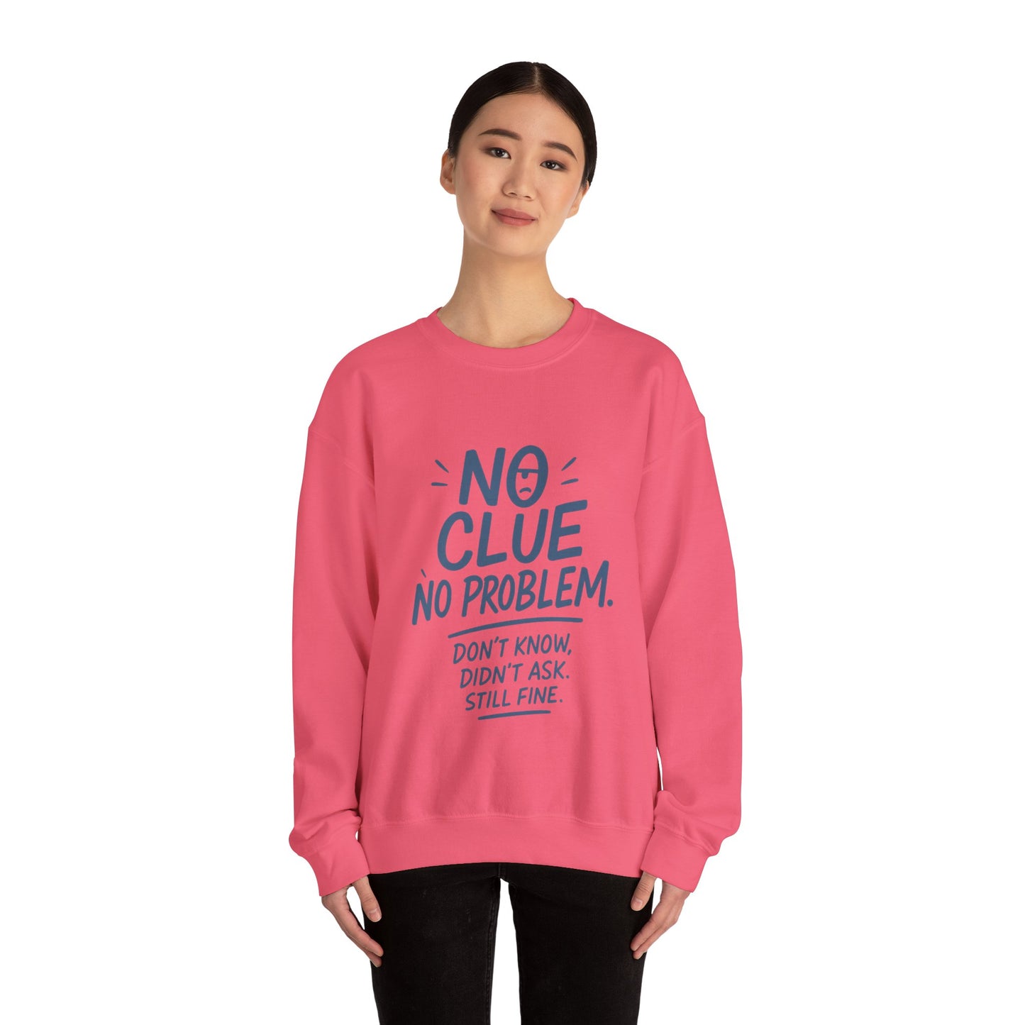 Funny No Clue Womens Crewneck Sweatshirt, No Problem Quote, Dont Know Diddt Ask Graphic Sweatshirt, Gift for Her,  Cozy Relaxed Fit Pullover