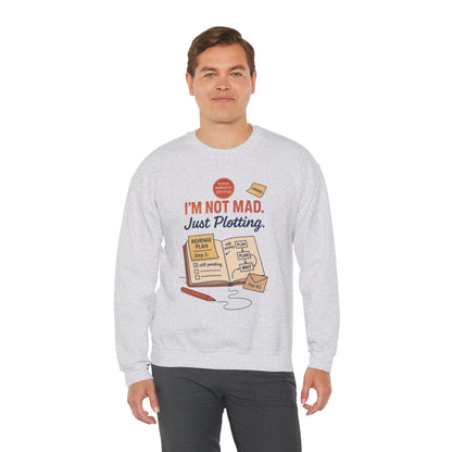 Funny Mens Revenge Sweatshirt, Im Not Mad Just Plotting, Passive Aggressive Sarcastic Crewneck for Him