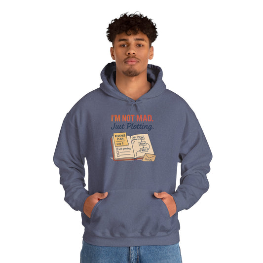 Funny Revenge Hoodie for Men, I'm Not Mad Just Plotting, Passive Aggressive Humor Sweatshirt, Funny Planning Hoodie