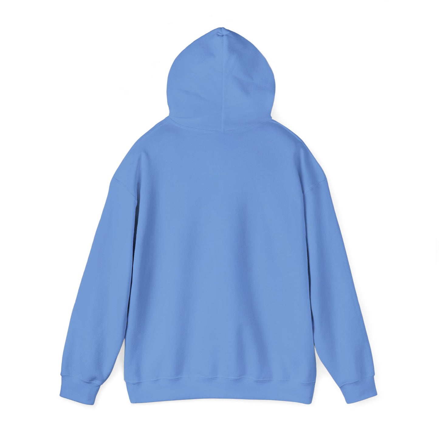 Shhh... No One Cares Hoodie, Funny Sweatshirt, Womens Pullover, Casual Wear, Gift for Friends, Cozy Outfit