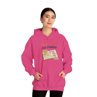 Sarcastic Womens Hoodie, Im Not Mad Just Plotting, Funny Passive Aggressive Sweatshirt Gift, Plotting Humor Hooded Womens Sweatshirt