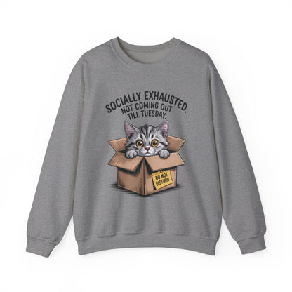 Socially Exhausted Cat Sweatshirt, Funny Cat Crewneck, Gift for Cat Lovers, Cozy Unisex Pullover, Weekend Comfort Apparel