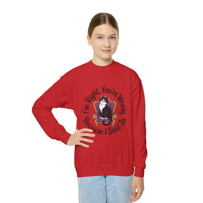 Youth Crewneck Sweatshirt, Funny Cat Sweatshirt for Girls, Im Right Youre Wrong, Tween Girl Attitude Pullover, Cute Gift for Cat Lovers
