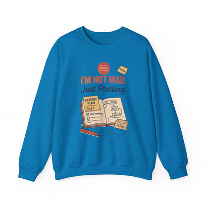 Funny Mens Revenge Sweatshirt, Im Not Mad Just Plotting, Passive Aggressive Sarcastic Crewneck for Him
