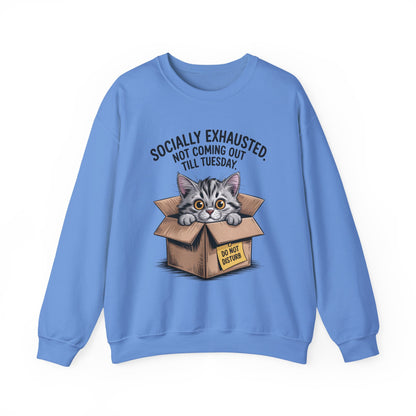 Socially Exhausted Cat Sweatshirt, Funny Cat Crewneck, Gift for Cat Lovers, Cozy Unisex Pullover, Weekend Comfort Apparel
