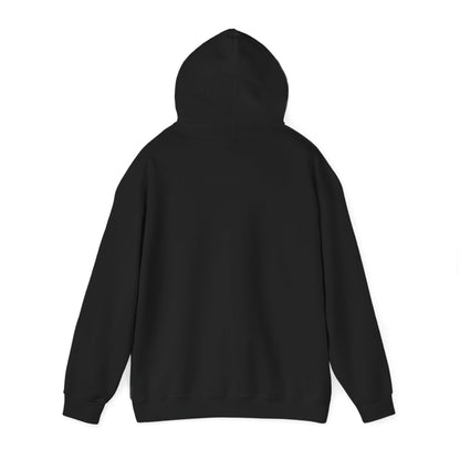 Chaos Is My Strategy Hooded Sweatshirt, Women's Pullover for Stress Relief, No Plan No Panic, Cute Winter Layering for Women, Humorous Gift