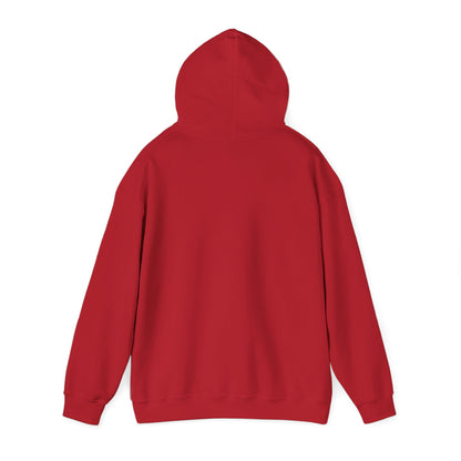Shhh... No One Cares Hoodie, Funny Sweatshirt, Womens Pullover, Casual Wear, Gift for Friends, Cozy Outfit