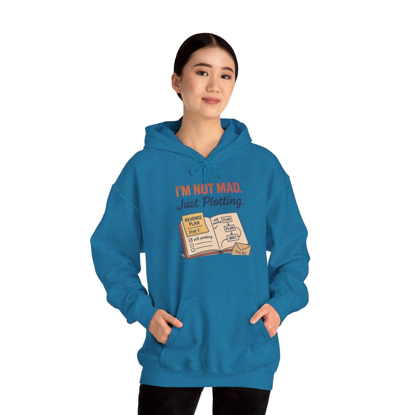 Sarcastic Womens Hoodie, Im Not Mad Just Plotting, Funny Passive Aggressive Sweatshirt Gift, Plotting Humor Hooded Womens Sweatshirt
