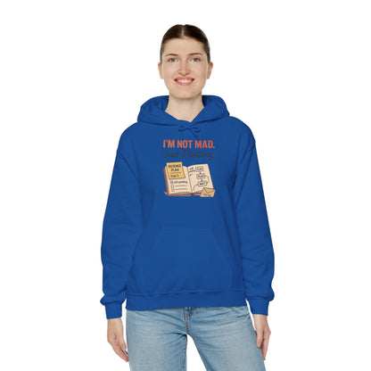 Sarcastic Womens Hoodie, Im Not Mad Just Plotting, Funny Passive Aggressive Sweatshirt Gift, Plotting Humor Hooded Womens Sweatshirt