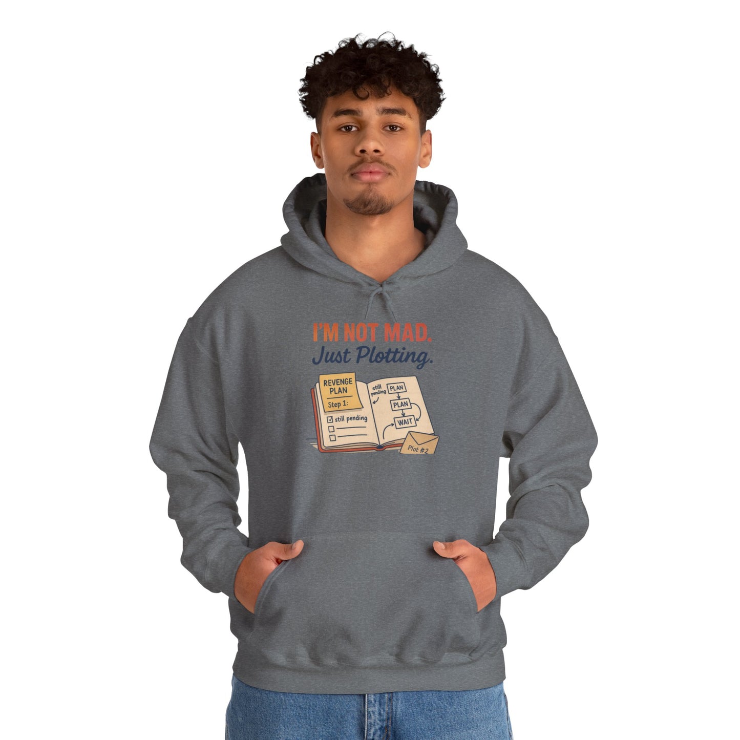 Funny Revenge Hoodie for Men, I'm Not Mad Just Plotting, Passive Aggressive Humor Sweatshirt, Funny Planning Hoodie