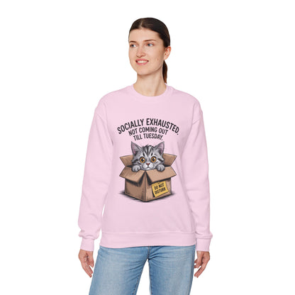 Socially Exhausted Cat Sweatshirt, Funny Cat Crewneck, Gift for Cat Lovers, Cozy Unisex Pullover, Weekend Comfort Apparel