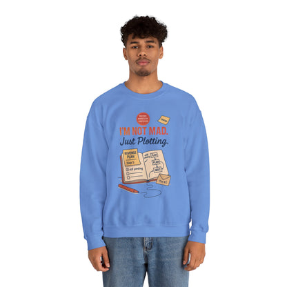 Funny Mens Revenge Sweatshirt, Im Not Mad Just Plotting, Passive Aggressive Sarcastic Crewneck for Him