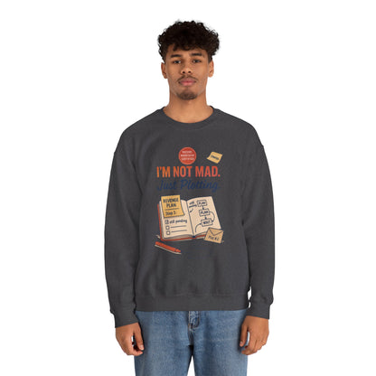 Funny Mens Revenge Sweatshirt, Im Not Mad Just Plotting, Passive Aggressive Sarcastic Crewneck for Him