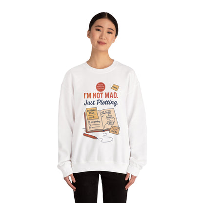 Funny Women's Revenge Sweatshirt, I'm Not Mad Just Plotting, Passive Aggressive Sarcastic Crewneck for Her, Funny Plotting Sweatshirt