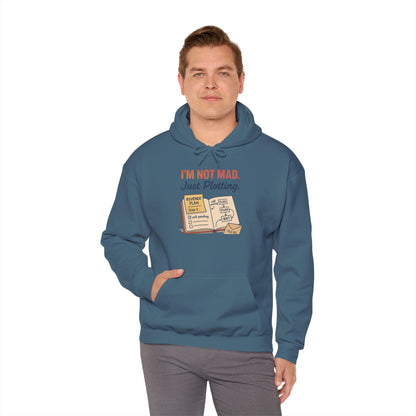 Funny Revenge Hoodie for Men, I'm Not Mad Just Plotting, Passive Aggressive Humor Sweatshirt, Funny Planning Hoodie