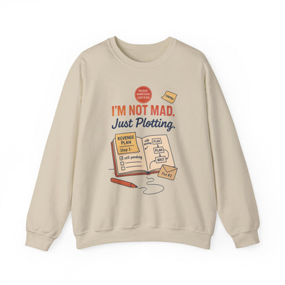 Funny Mens Revenge Sweatshirt, Im Not Mad Just Plotting, Passive Aggressive Sarcastic Crewneck for Him