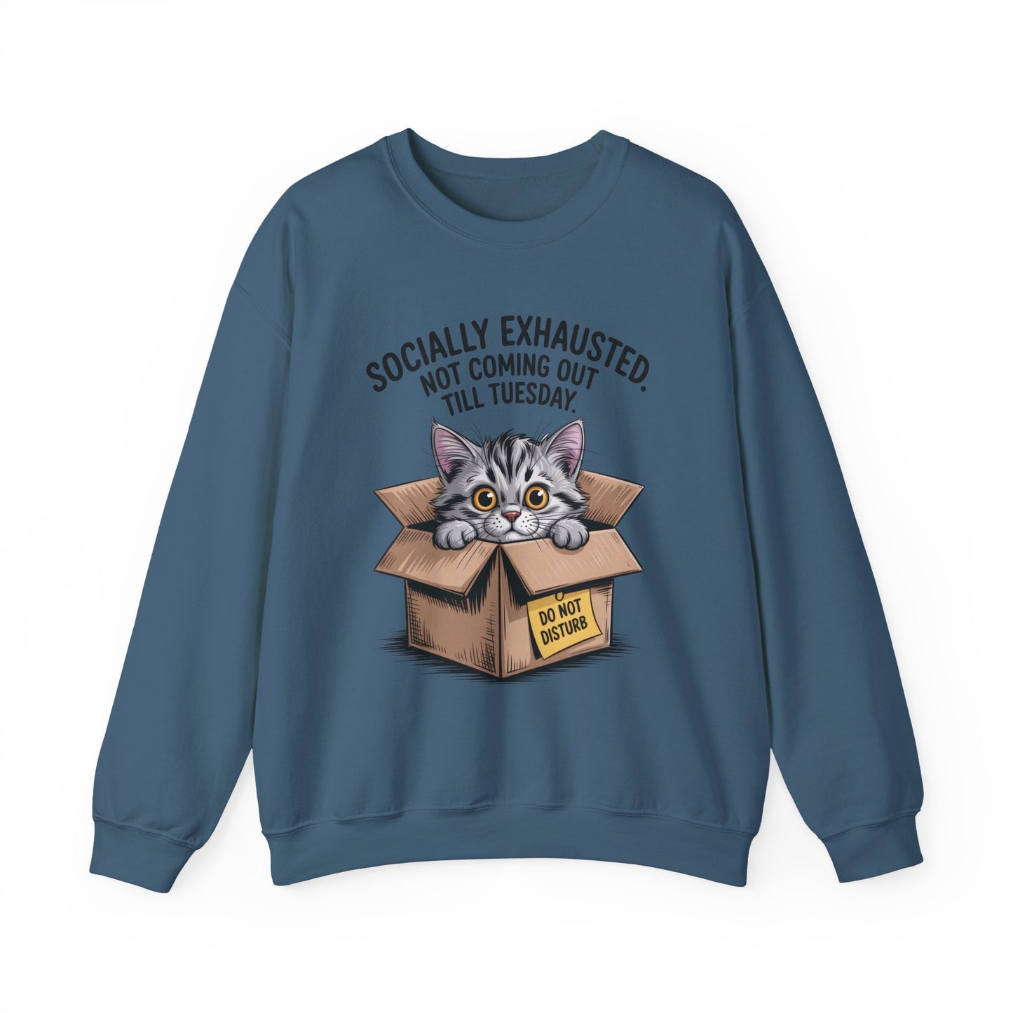 Socially Exhausted Cat Sweatshirt, Funny Cat Crewneck, Gift for Cat Lovers, Cozy Unisex Pullover, Weekend Comfort Apparel