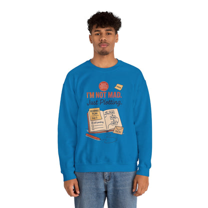 Funny Mens Revenge Sweatshirt, Im Not Mad Just Plotting, Passive Aggressive Sarcastic Crewneck for Him